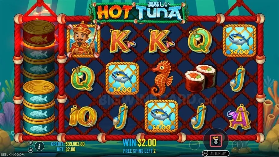 BOSS77 Sports Betting Overview