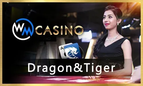 boss77 Bingo Bonuses and Promotions